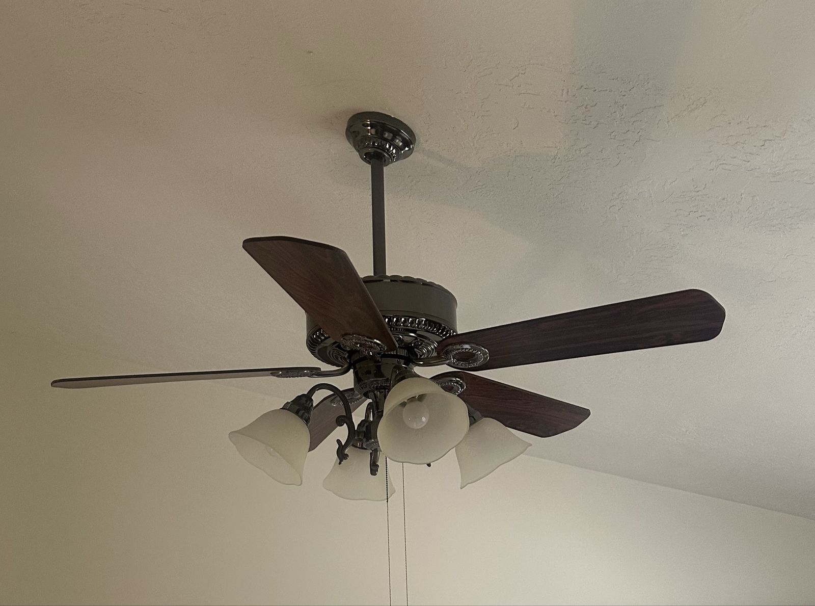 Ceiling fan with lights