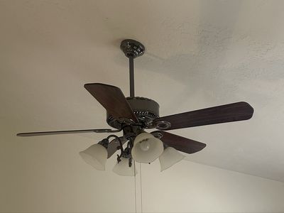 Ceiling fan with lights