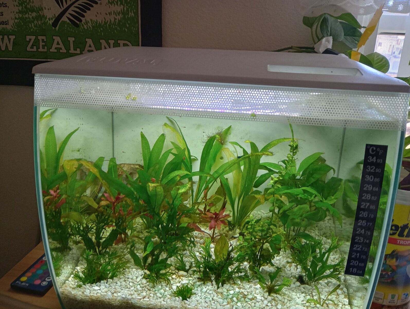 9 gallon aquarium cube