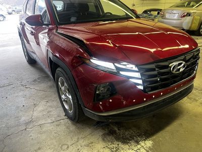 AUTOBODY repair