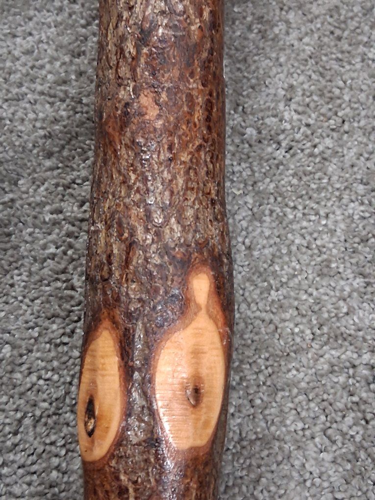 Main image 4