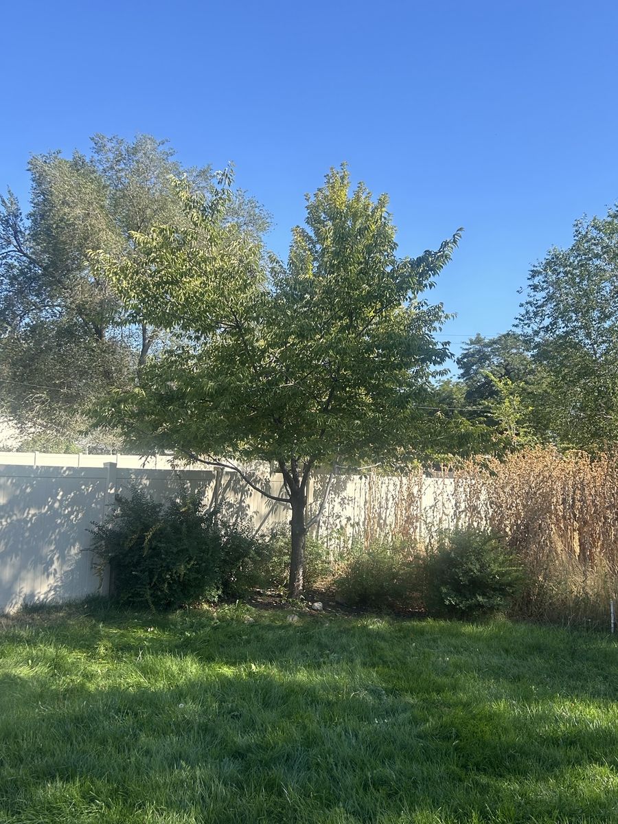 Main image 12