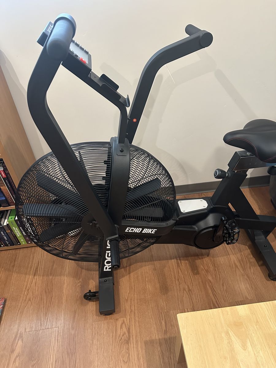 Rogue Echo Bike