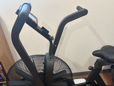 Rogue Echo Bike