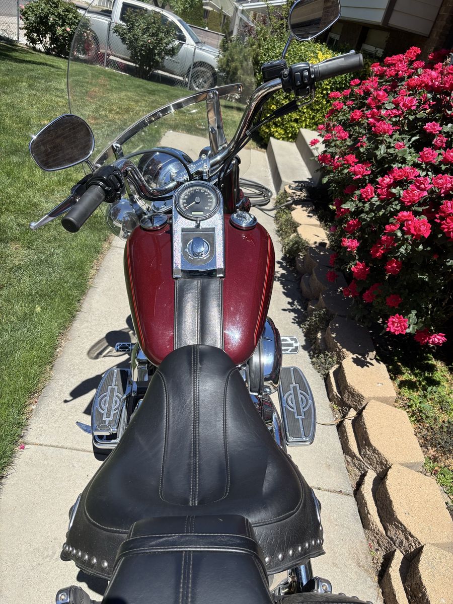 2008 Harley Davidson softail classic