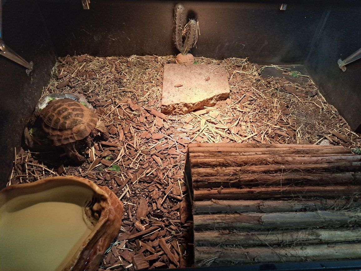 Main image 5