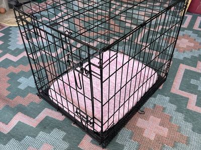 Like New! Collapsible Dog Crate with Bolstered Pink Dog Bed 24” Long