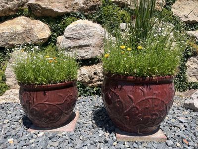 Pair of Large Decorative Ceramic Garden Planters with Embossed Floral Design