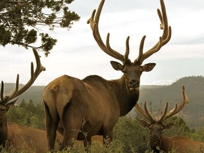 Now Booking for 2026