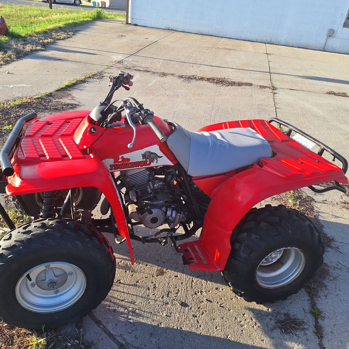 1993 Yamaha 250 Timberwolf