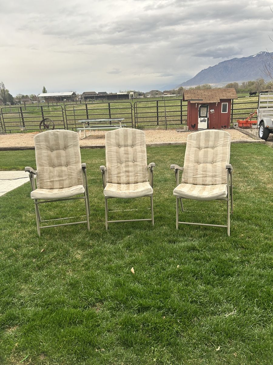 Three Super Nice Padded Patio Chairs