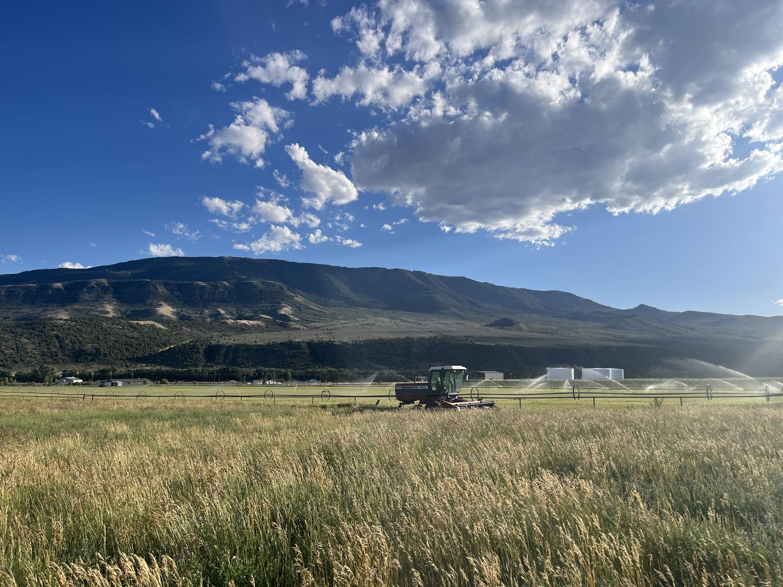 3x3x8 Grass Hay for sale