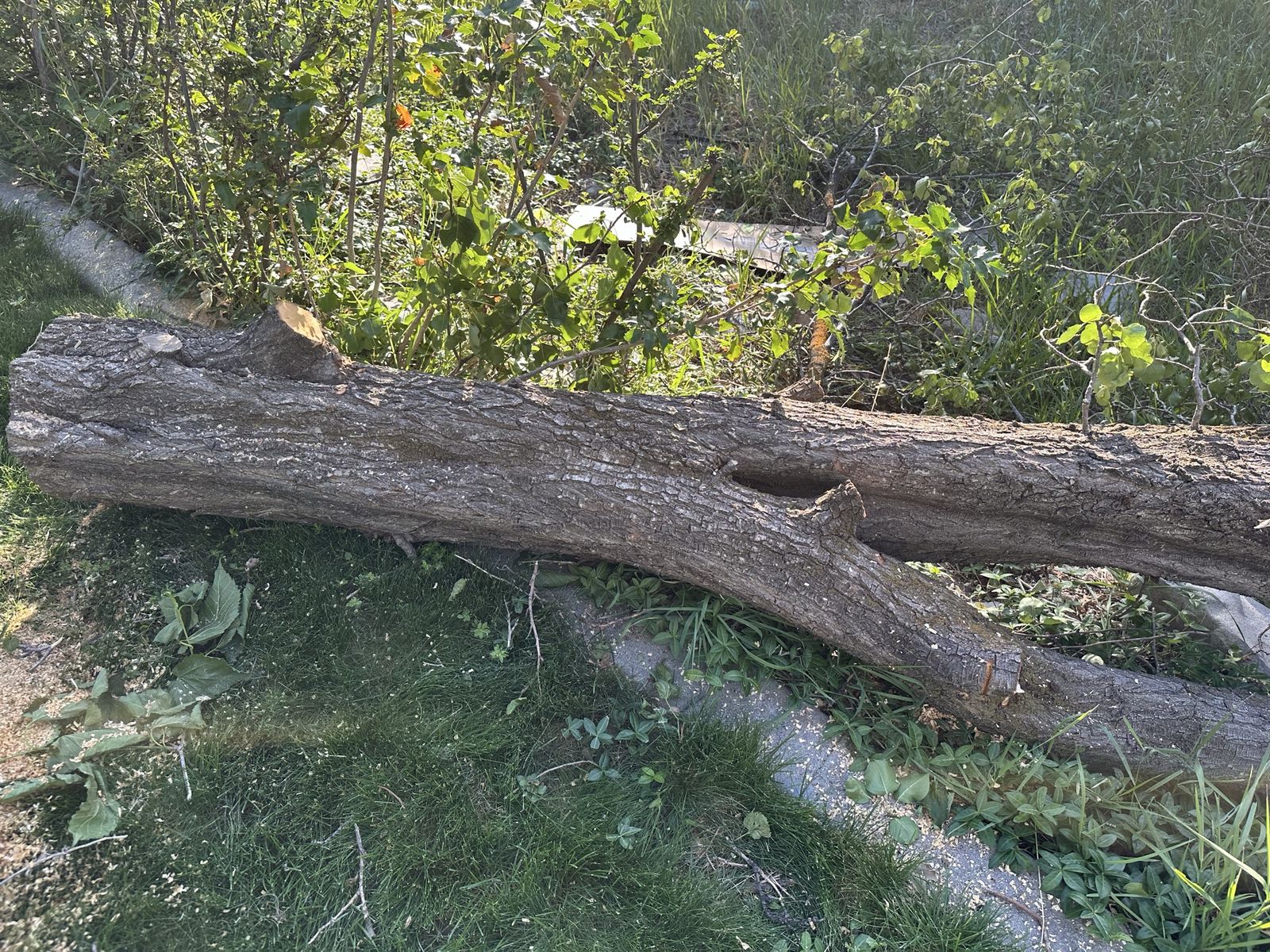 Main image 4