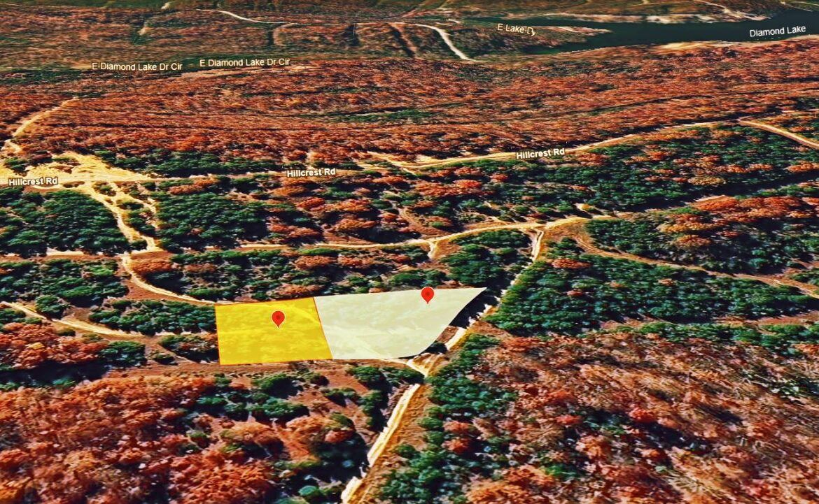 Main image 8