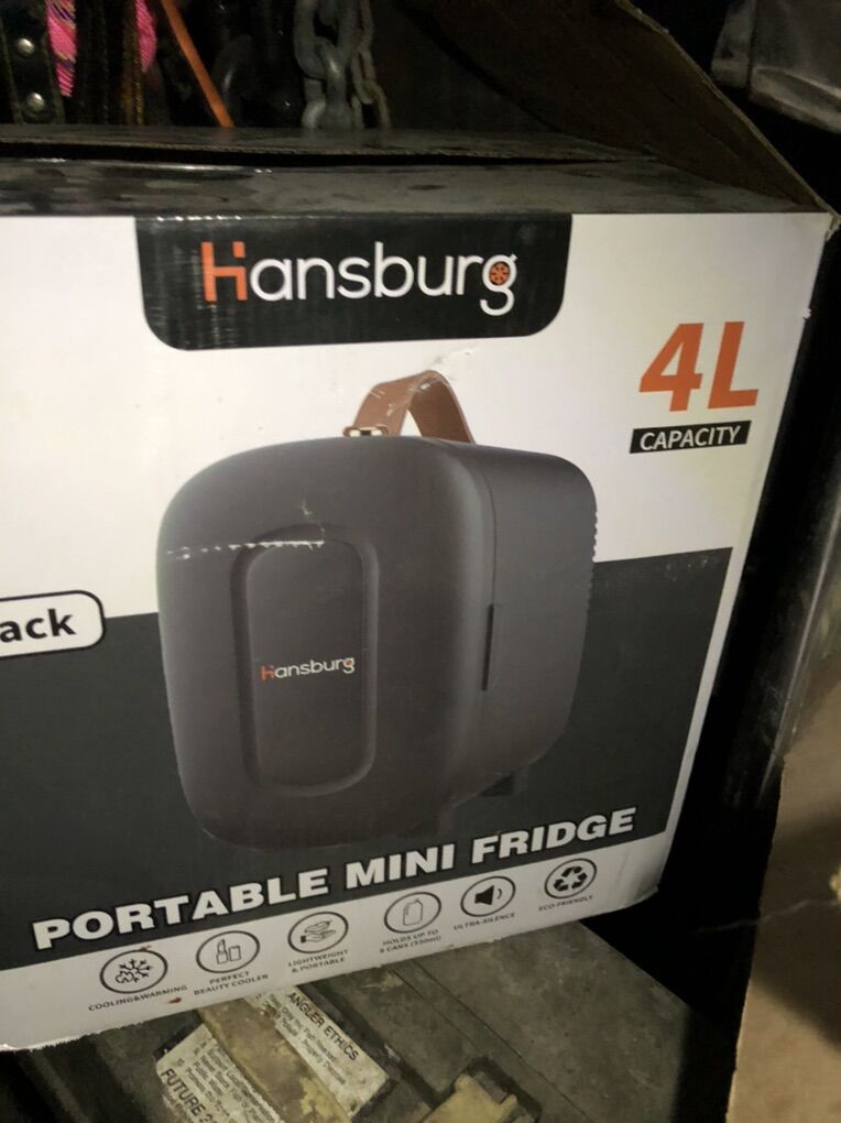 Hansburg Mini Fridge 4liter For Cars Make Up Beer
