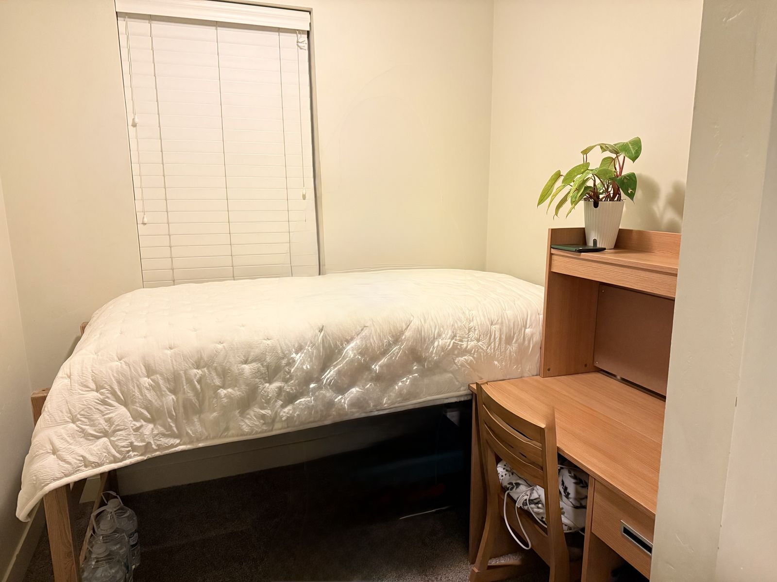 Super Discount- 50% off, Private female room, The Village at South Campus in Provo