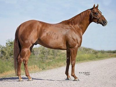 Breeding to Jesscuzican