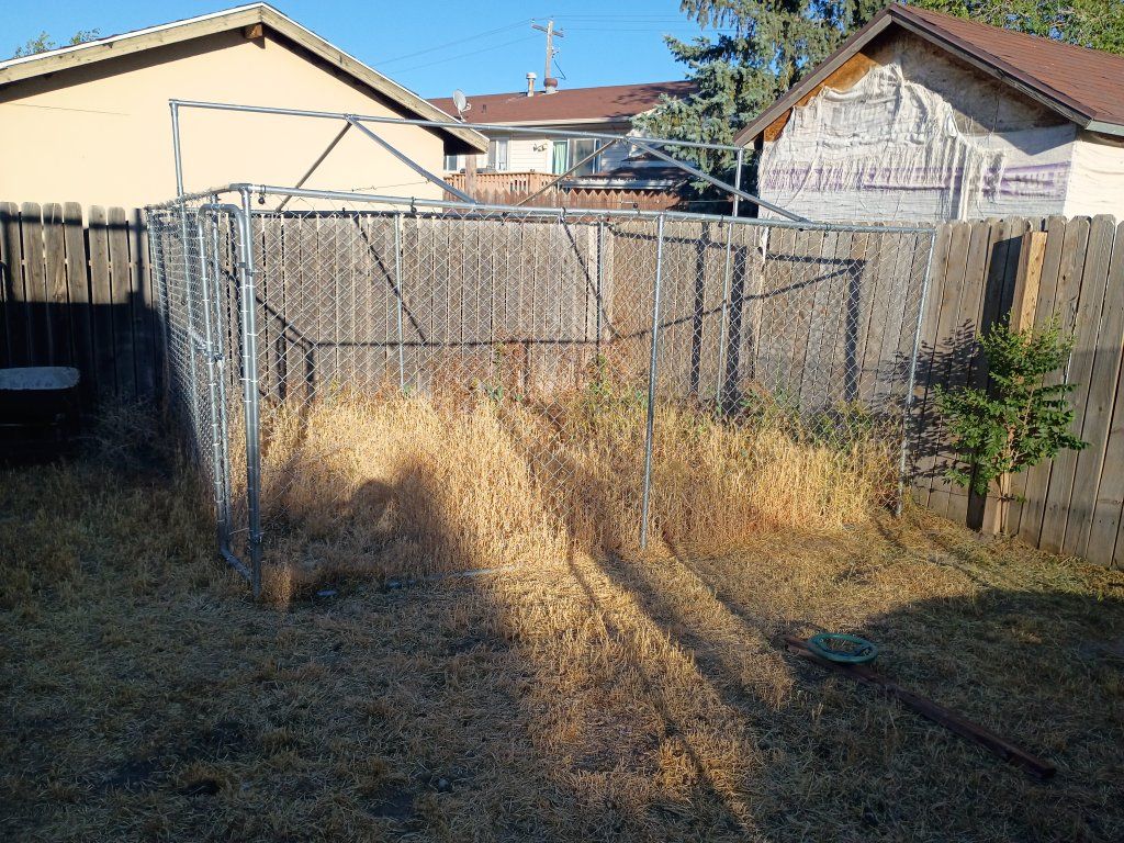 Large Chain Link Dog Kennel - Used, Good Condition, Secure Outdoor Pet Enclosure