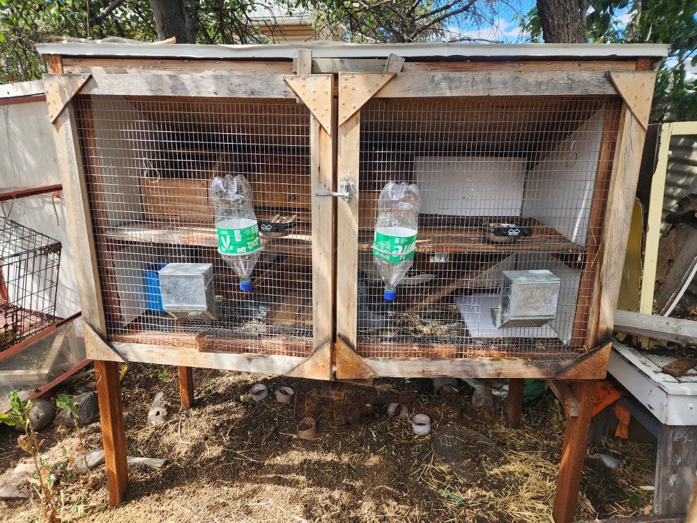 Two Door/Two Rabbit Wooden Outdoor Rabbit Hutch