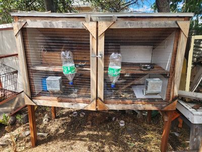 Two Door/Two Rabbit Wooden Outdoor Rabbit Hutch