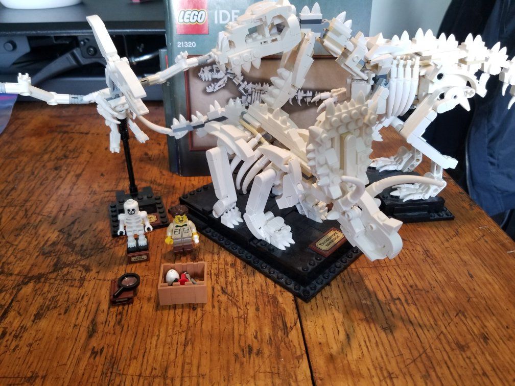LEGO Ideas 21320 Dinosaur Fossils
