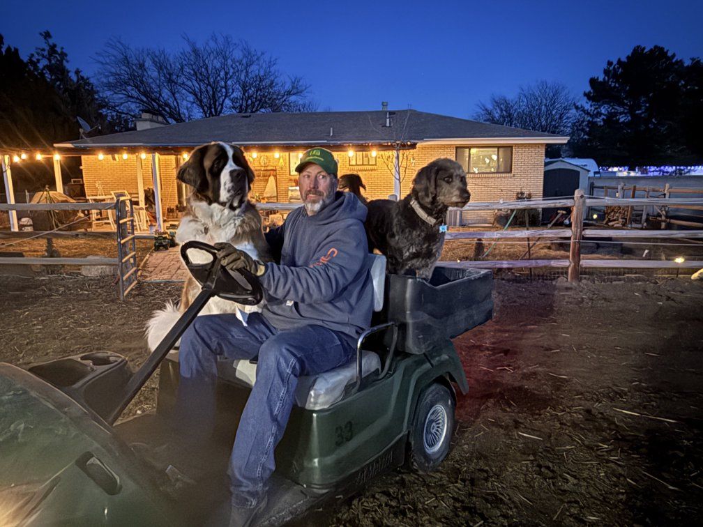 yamaha utility cart 2012