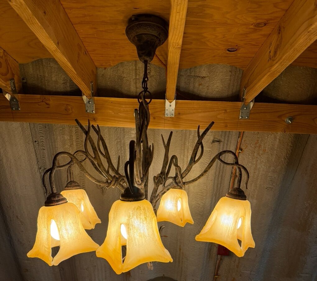 Iron and Glass Rustic Chandelier