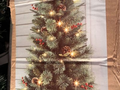 Several Christmas trees in good condition.
