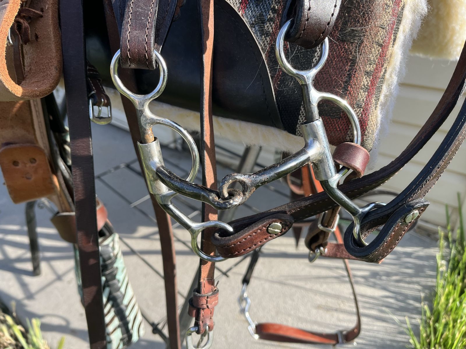 Main image 5