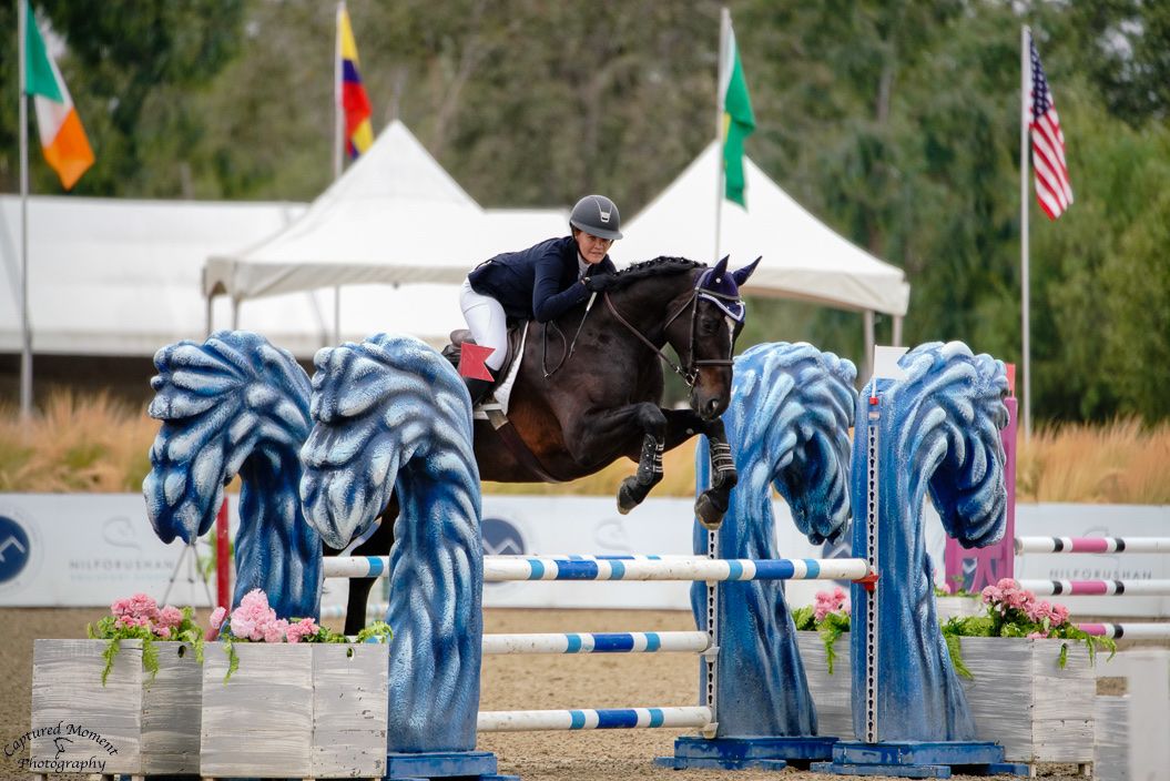 Show jumping horse