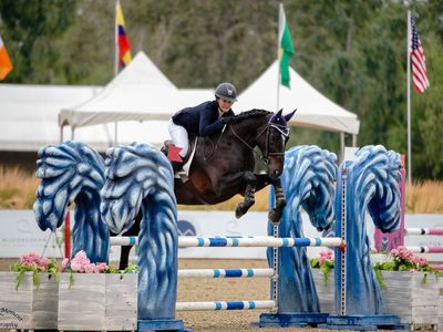 Show jumping horse