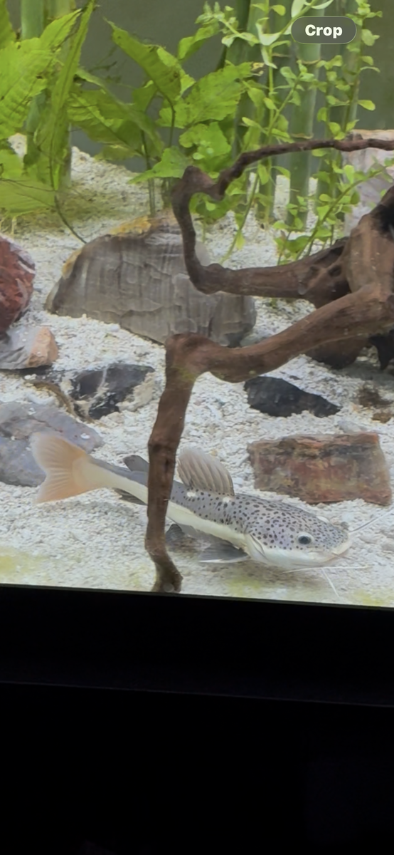 Main image 3