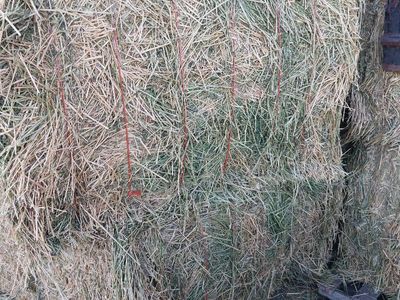 2nd crop 3x4x8ft alfalfa bales