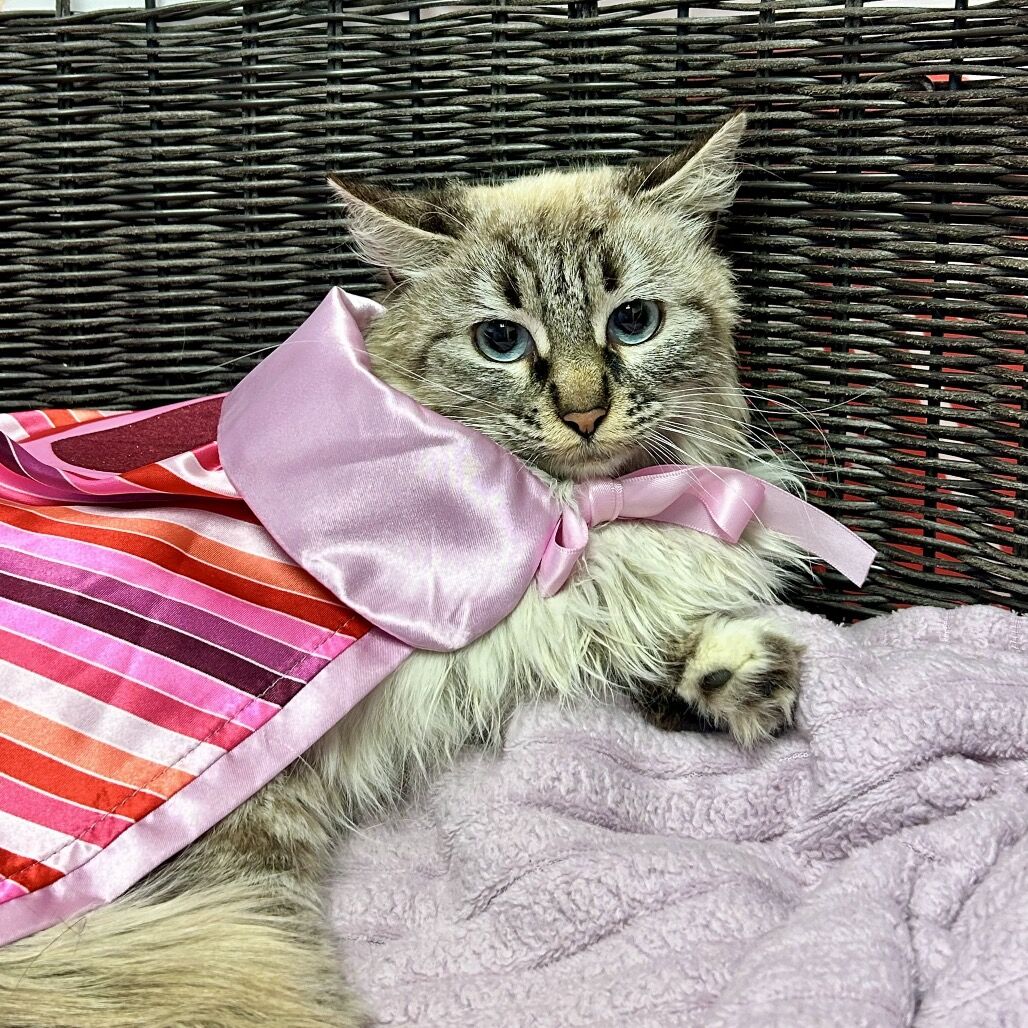 Hello my name is Leela