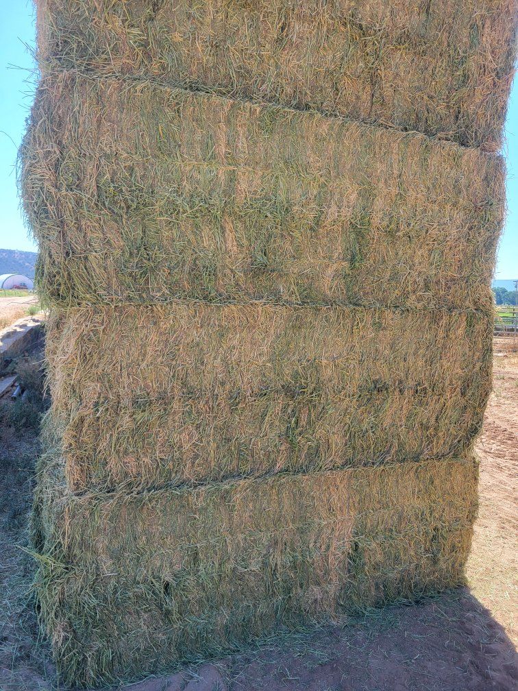 Main image 2