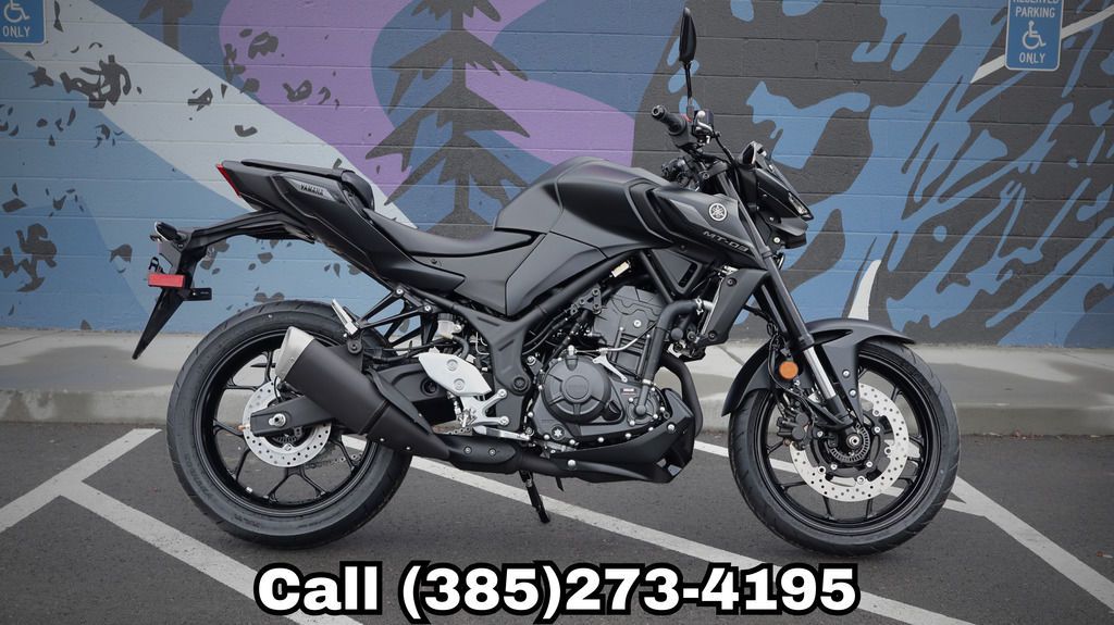 2026 YAMAHA MT 03