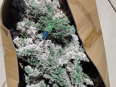 Pine Christmas tree with snow flocked branches