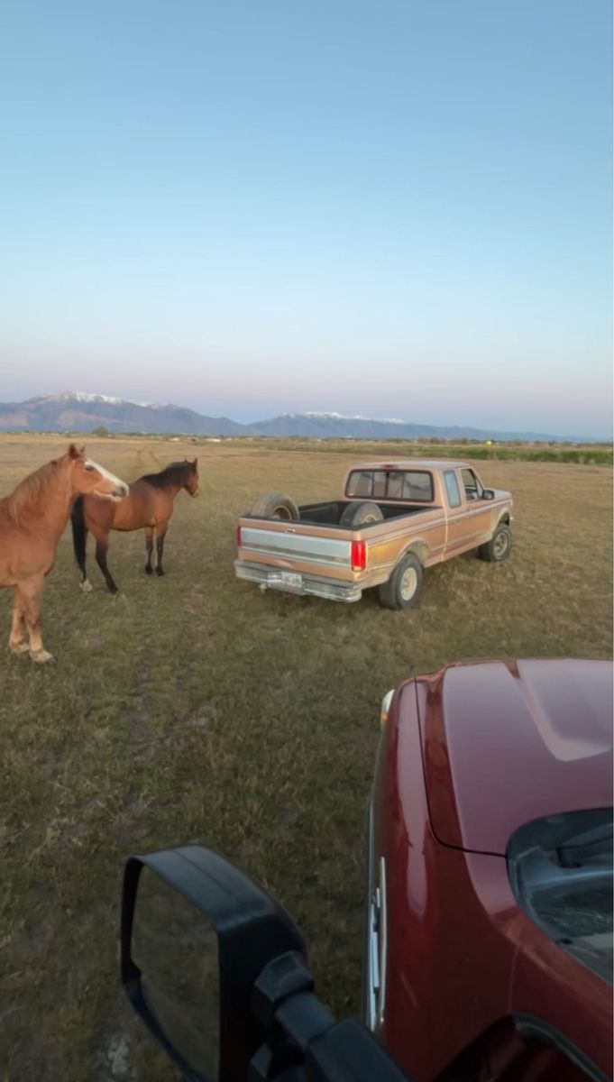1994 ford F150 extended cab XLT regular bed
