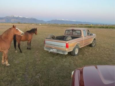 1994 ford F150 extended cab XLT regular bed