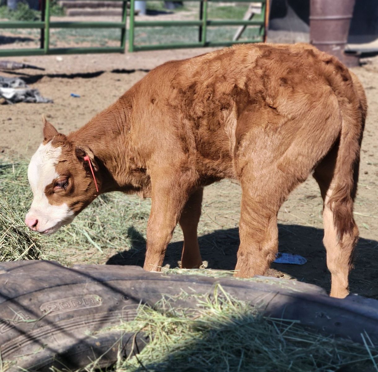 Main image 3