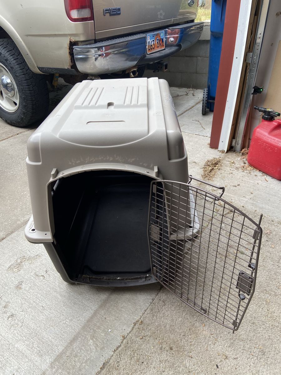 Dog kennel