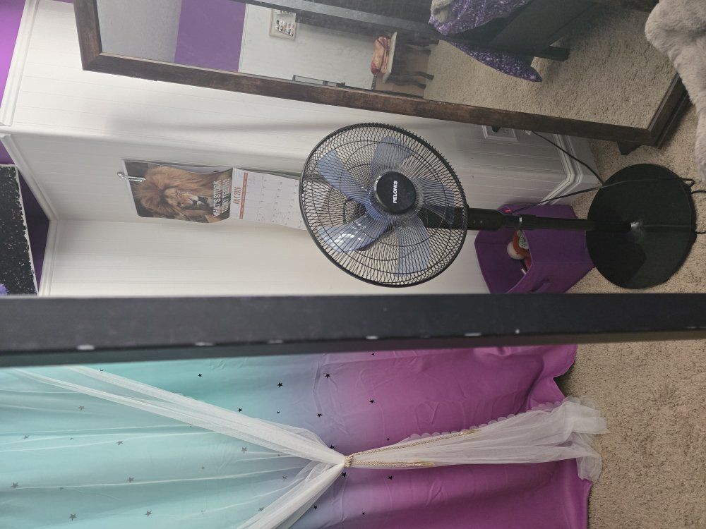 Main image 4