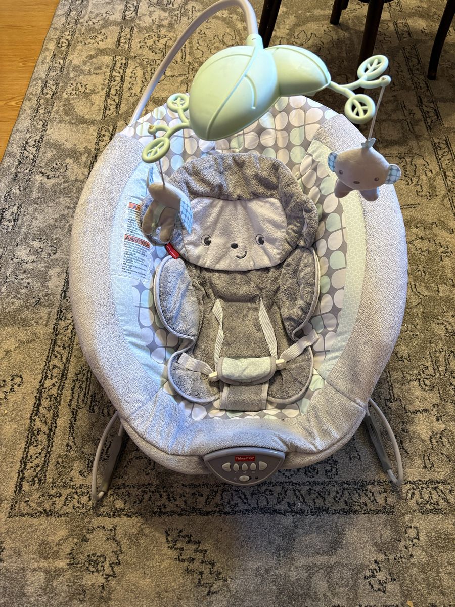 Baby Bouncer
