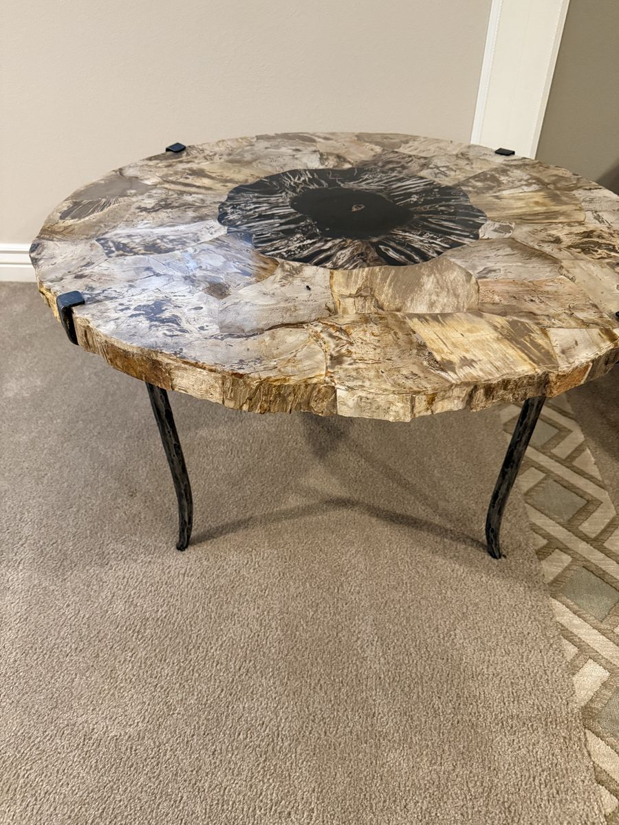 Petrified Wood Cocktail Table