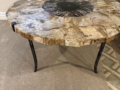 Petrified Wood Cocktail Table