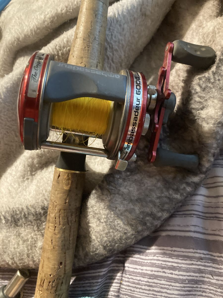 Abu Garcia 6000