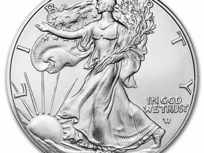 Tubes of Silver Eagles