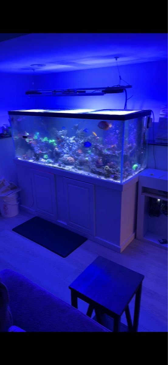 220 Gallon Large Glass Aquarium Fish Tank with Built-in Overflows and Matching White Stand
