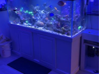 220 Gallon Large Glass Aquarium Fish Tank with Built-in Overflows and Matching White Stand