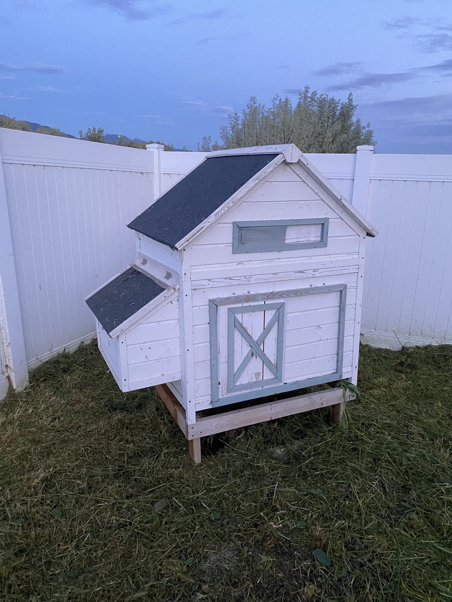 Chicken Coop